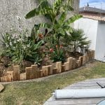 aménagement plantation 2