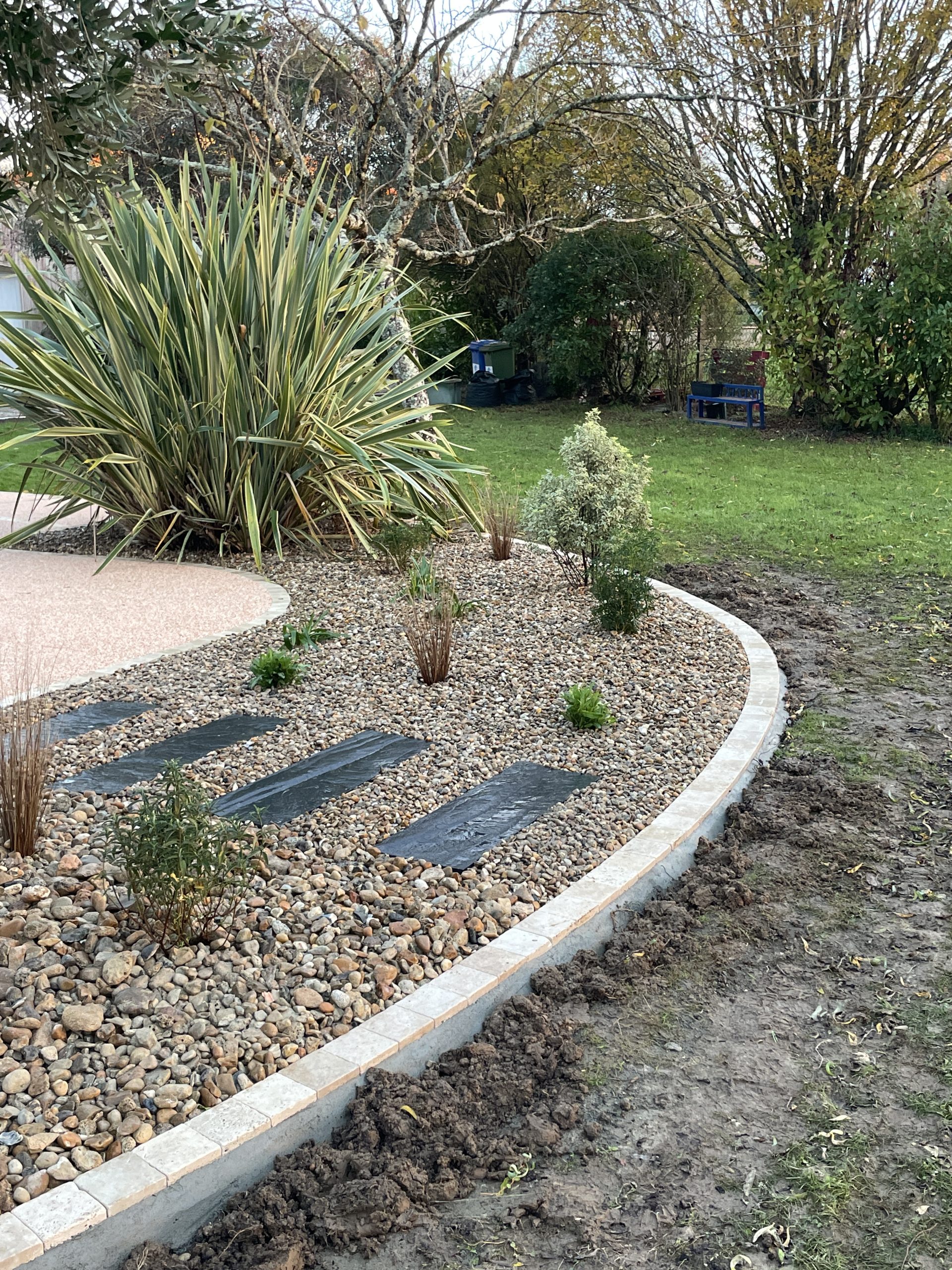 massif de plantes