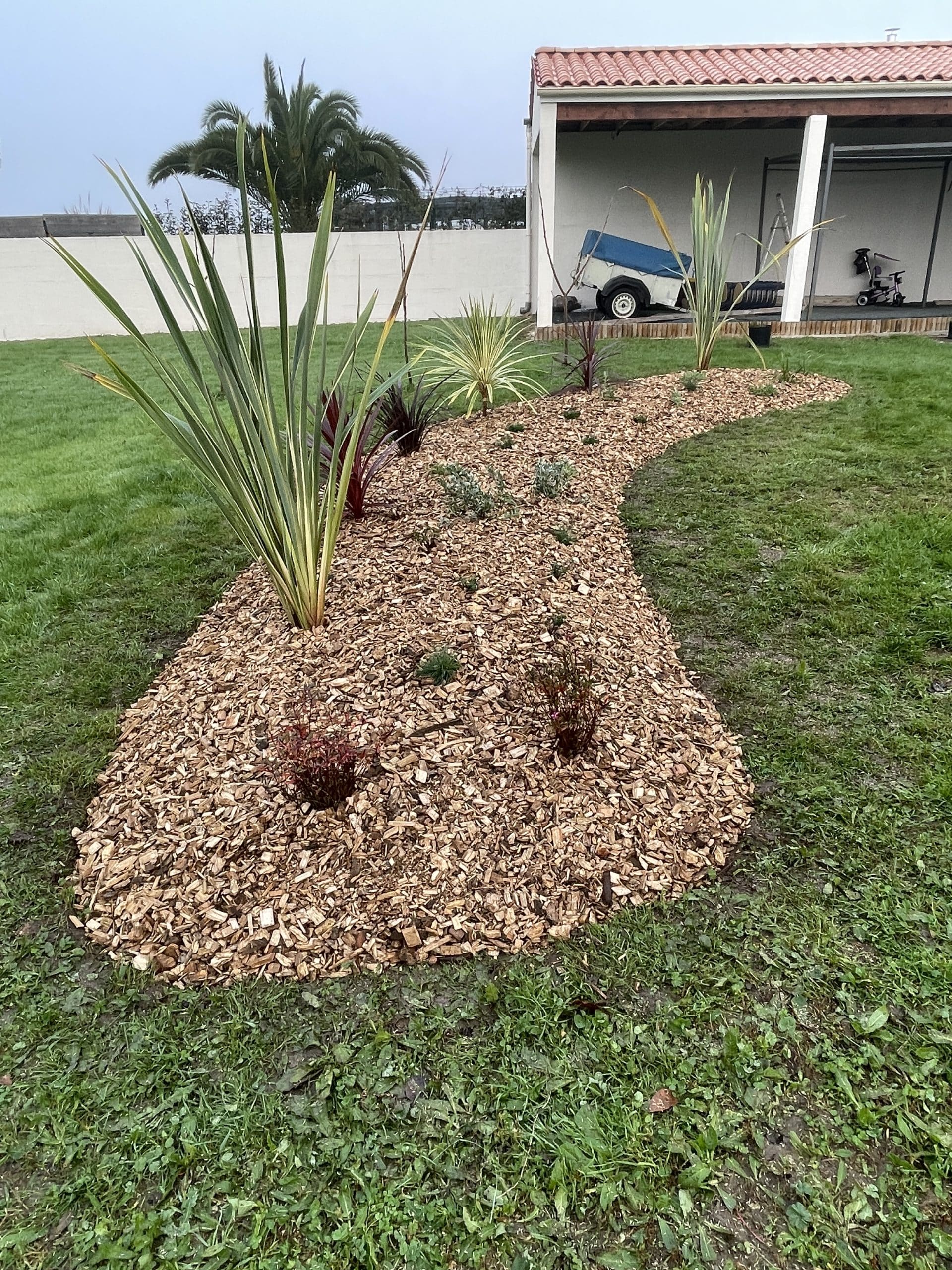 aménagement plantation 1