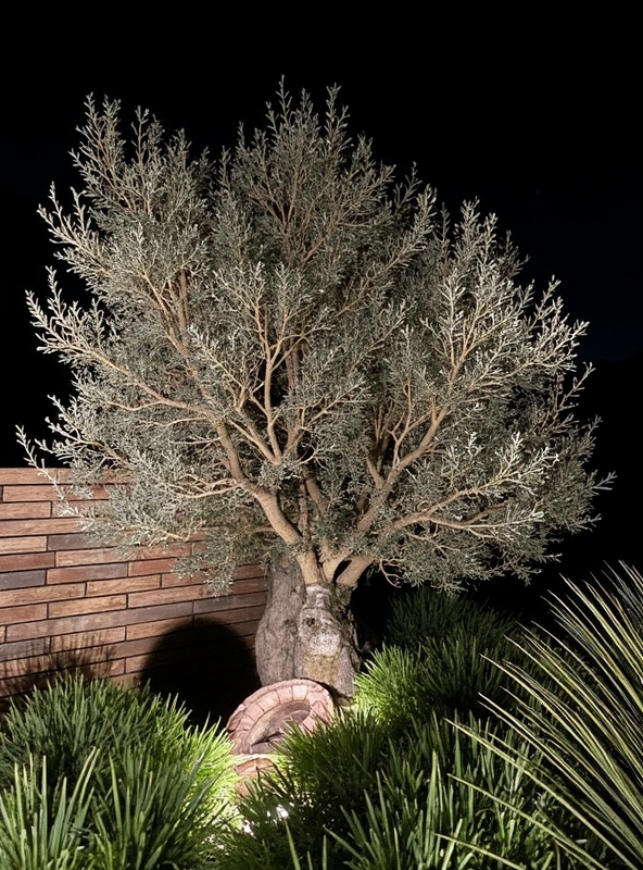 arbre rétro éclairé